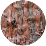 Cedarwood Virginian (Juniperus virginiana) Essential Oil
