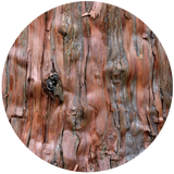 Cedarwood Virginiana (Juniperus virginiana) Essential Oil