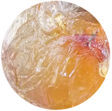 Benzoin Resinoid (Styrax benzoin) 50/50 Extract