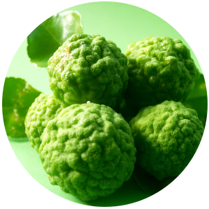 Bergamot oil Citrus bergamia