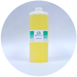 abyssinian oil crambe abyssinica