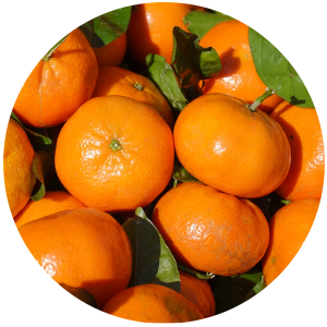 Clementine (Citrus nobilis) Essential Oil