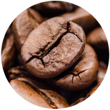 Coffee (Coffea arabica) Oil - Roasted