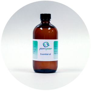Eucalyptus (Eucalyptus globulus) Essential Oil - 70/75 - China