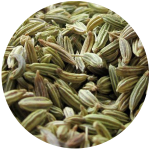 Sweet fennel oil-plants power-plant-essential oil