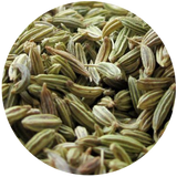 Fennel Sweet (Feniculum vulgare) Essential Oil
