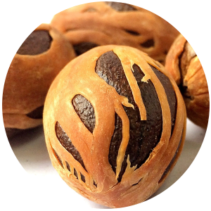Nutmeg (Myristia fragrans) Essential Oil