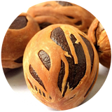 Nutmeg (Myristia fragrans) Essential Oil