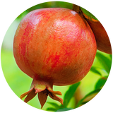 Pomegranate Seed (Punica granatum) Carrier Oil - Virgin