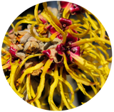 Witch Hazel (Hamamelis virginiana) Hydrosol Alcohol Free with 0.15% Benzoic Acid
