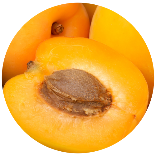 A close-up circular photo of ripe yellow-orange apricots, with one halved fruit showing the brown pit in the center against a white background.