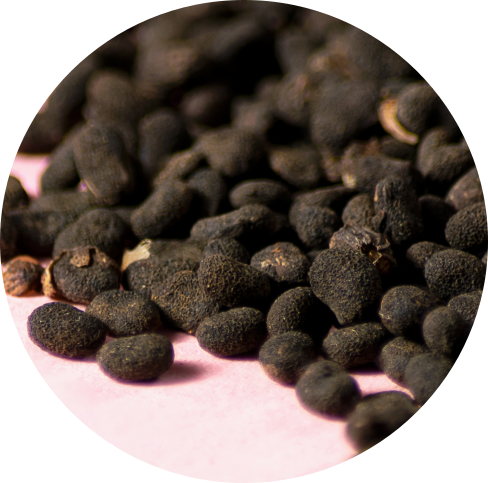 A close-up circular shot of small dark brown to black Bakuchi seeds scattered on a pale pink surface.