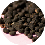 A close-up circular shot of small dark brown to black Bakuchi seeds scattered on a pale pink surface.