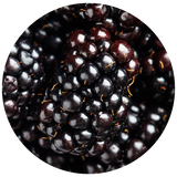 A close-up circular view of glossy blackberries, showing the dark purple-black fruit clusters with small orange-tan stems against a black background.
