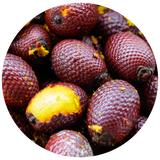 A close-up circular view of several dark reddish-brown Buriti fruits with one fruit showing a bright yellow exposed interior, on a white background.