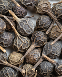 Close up of Cubeb Pepper used to make essential oils.