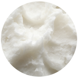 Coconut (Cocos nucifera) Carrier Oil - Virgin - Organic