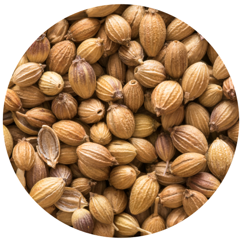 A circular close-up of whole coriander seeds in shades of tan, brown, and beige, filling the frame against a white background.