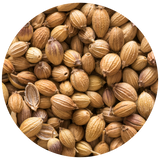 Coriander (Coriandrum sativum) Seed Essential Oil