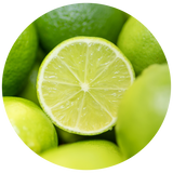 Lime (Citrus aurantifolia) Essential Oil - Steam Distilled