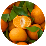 Mandarin (Citrus reticulata Blanco) Essential Oil - RED