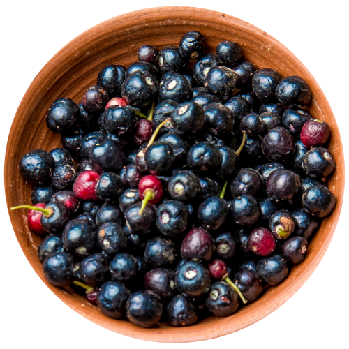 A close-up of a terracotta bowl filled with dark blue-black maqui berries mixed with a few red berries, isolated on a white background.