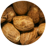 Nutmeg (Myristia fragrans) Essential Oil