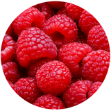 Raspberry Seed (Rubus idaeus) Carrier Oil - Unrefined