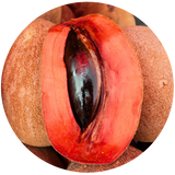 A close-up circular photo of a sapote fruit, shown cut open to reveal a bright red-orange interior and a dark seed, with additional whole fruits blurred in the background.