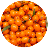 Sea Buckthorn Fruit (Hippophae rhamnoides) Carrier Oil - Cold Pressed