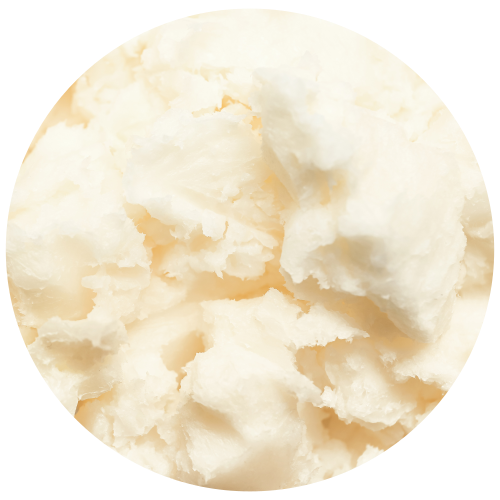 A circular close-up of a pale creamy off-white Shea Butter, on a white background.