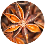 Star Anise (Illicium verum) Essential Oil