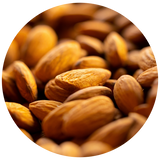 Sweet Almond (Prunus dulcis) Carrier Oil - Cosmetic Grade - Refined