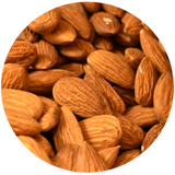 Sweet Almond (Prunus dulcis) Carrier Oil - Refined - Spain