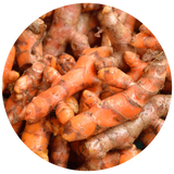A close-up circular photo of orange turmeric roots with rough, knobby brown skin, filling most of the frame against a white background.