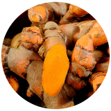 A close-up circular photo of fresh turmeric roots, showing bright orange-yellow flesh and rough brown skin.