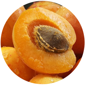 Apricot (Prunus armeniaca L.) Kernel Carrier Oil - Virgin - Organic