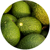 Avocado (Persea gratissima) Carrier Oil - Virgin