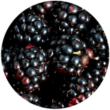 Blackberry Seed (Rubus Fruticosus) Carrier Oil - Unrefined