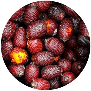 A collection of Buriti fruits, also known as, with a focus on their textured, reddish skin.