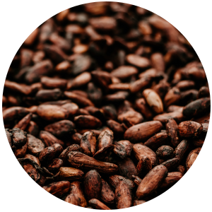 Cocoa Butter (Theobroma cacao) - Semi-Refined/White