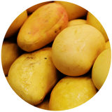 Mango Butter (Mangifera indica)- Unrefined