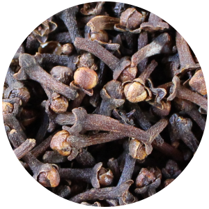 Clove Bud (Eugenia caryophyllata) Essential Oil