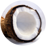 Coconut (Cocos nucifera) Carrier Oil - Virgin - Organic