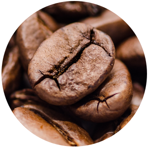 Coffee (Coffea arabica) Oil - Roasted