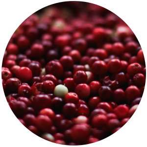 Cranberry Seed (Vaccinium macrocarpon) Carrier Oil