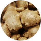Ginger (Zingiber officinalis) Essential Oil - Dried