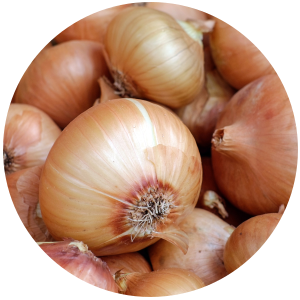 Onion (Allium cepa) Essential Oil