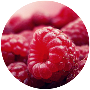 raspberry seed oil Rubus idaeus